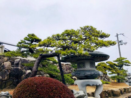 Jp00009