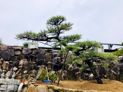 Jp00010