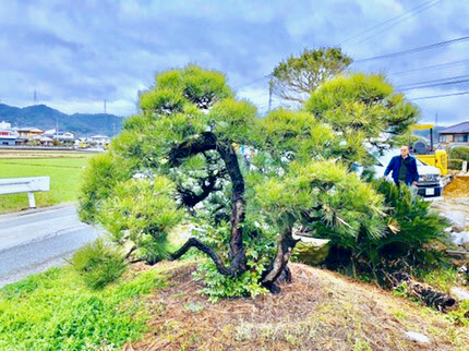 Jp00020