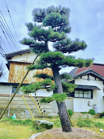 Jp00023