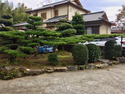 Jp00036